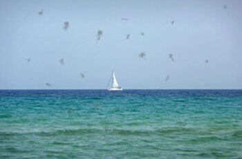 Lichtblitze und Glaskörpertrübungen